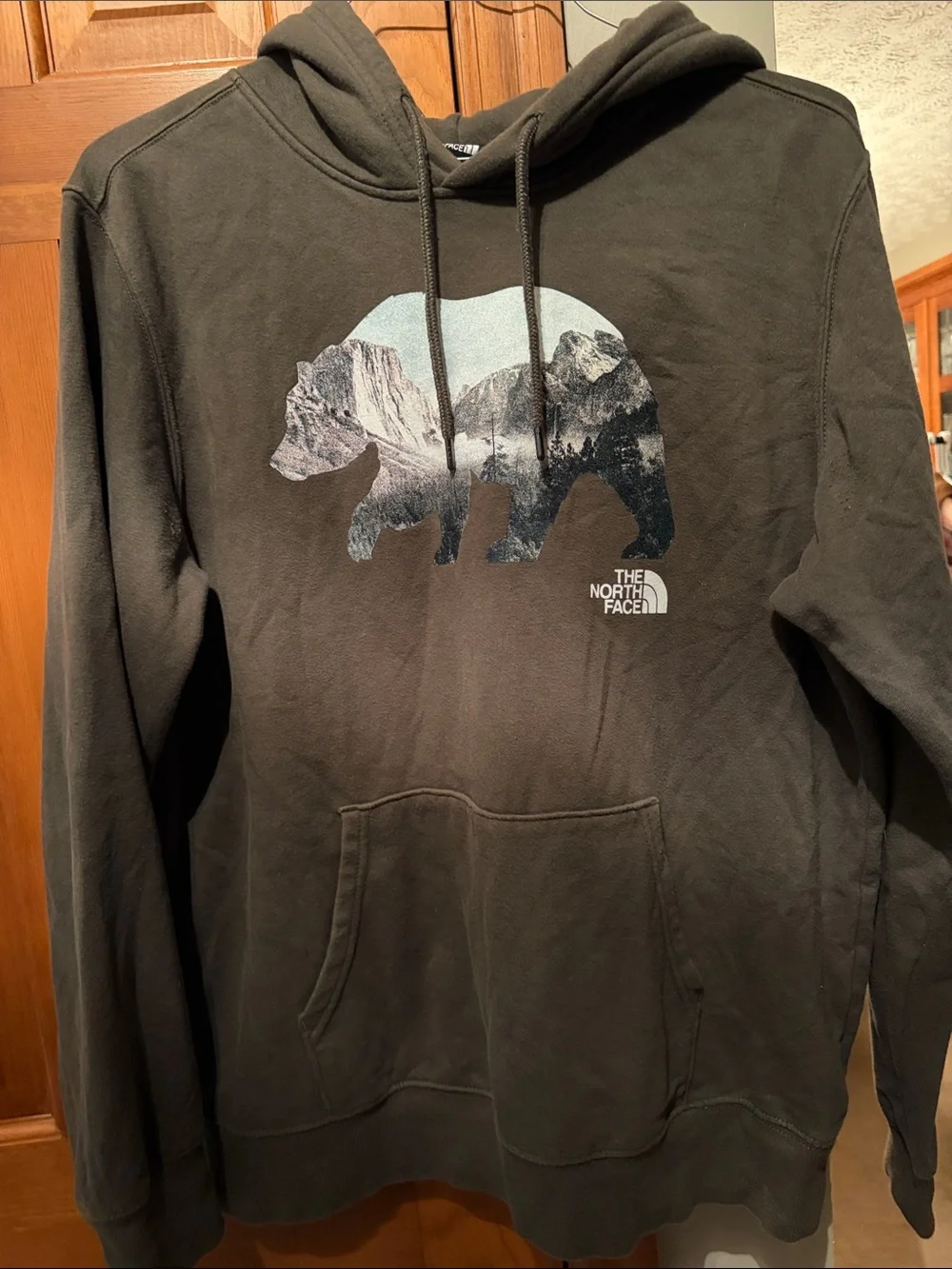 The North Face Men's Dark Brown Bear Graphic Pullover Hoodie